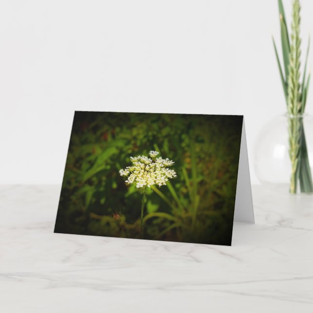 Queen Anne’s Lace, card (Front)
