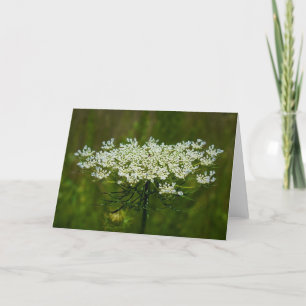 Queen Anne’s Lace, card
