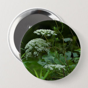 Queen Anne's La ce Wildflower - Daucus carota 10 Cm Round Badge
