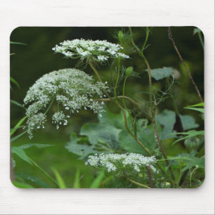 Queen Anne's La ce Wildflower - Daucus carota Mouse Mat