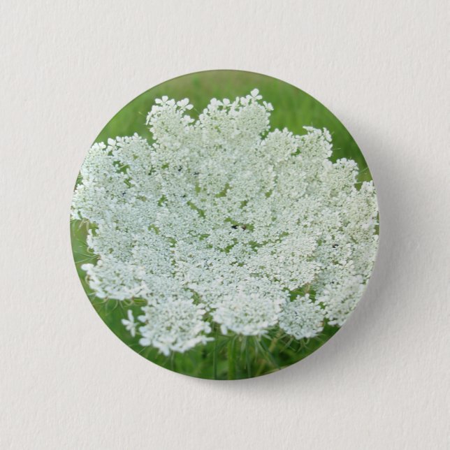 Queen Annes Lace 6 Cm Round Badge (Front)