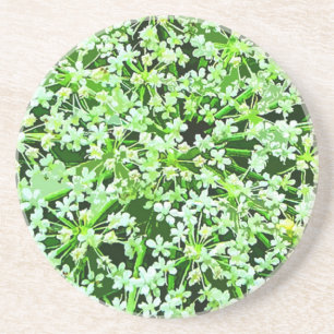Queen Annes Lace Coaster