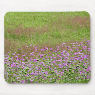 Queen Anne's Lace Daucus carota) growing Mouse Mat