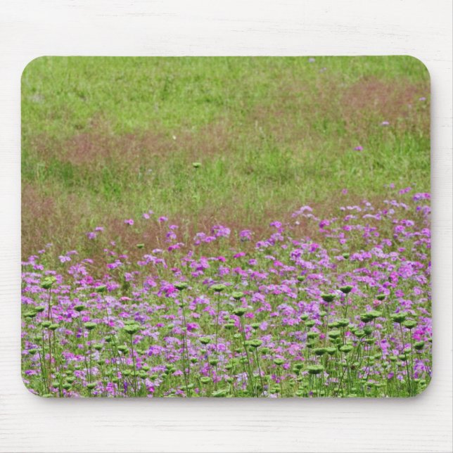 Queen Anne's Lace Daucus carota) growing Mouse Mat (Front)