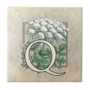 Queen Anne's Lace Flower Floral Monogram Tile