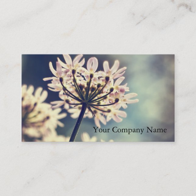 Queen Annes Lace flowers Custom Business Cards (Front)