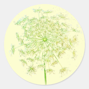 Queen Anne's Lace Gifts and Favours Classic Round Sticker