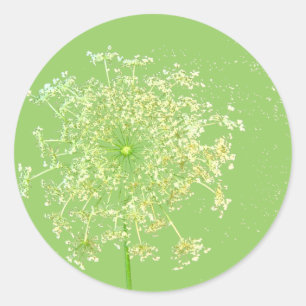 Queen Anne's Lace Gifts and Favours Classic Round Sticker