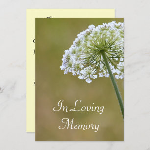 Queen Anne's Lace Memorial Service Announcement