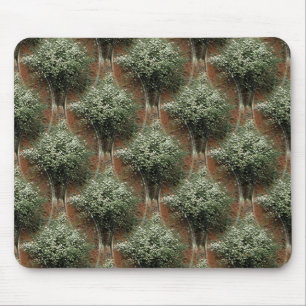 Queen Anne's Lace..... Mouse Mat