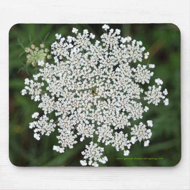 Queen Anne's Lace Mouse Mat (Front)
