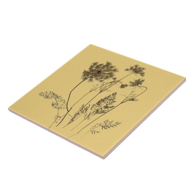 Queen Anne's Lace on a Ceramic Tile (Yellow A) (Side)