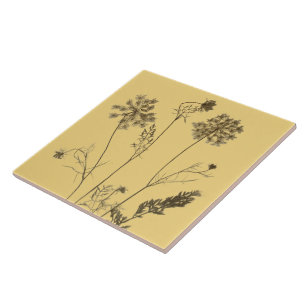 Queen Anne's Lace on a Ceramic Tile (Yellow B)