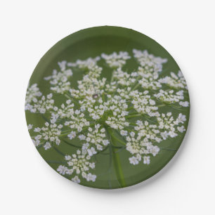 Queen Anne's Lace Paper Plate