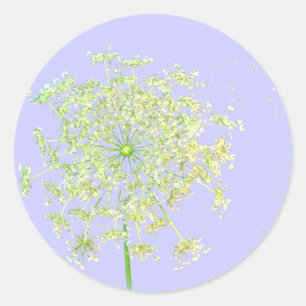 Queen Anne's Lace Stickers