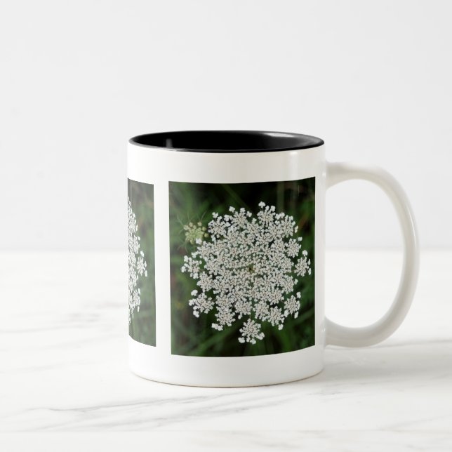 Queen Anne's Lace Two-Tone Coffee Mug (Right)
