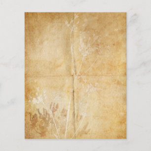 Queen Anne's Lace Watercolor Parchment