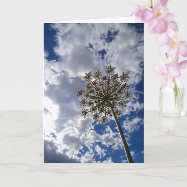 Queen Anne's Lace, Wild Floral Landscape Card (Orchid)
