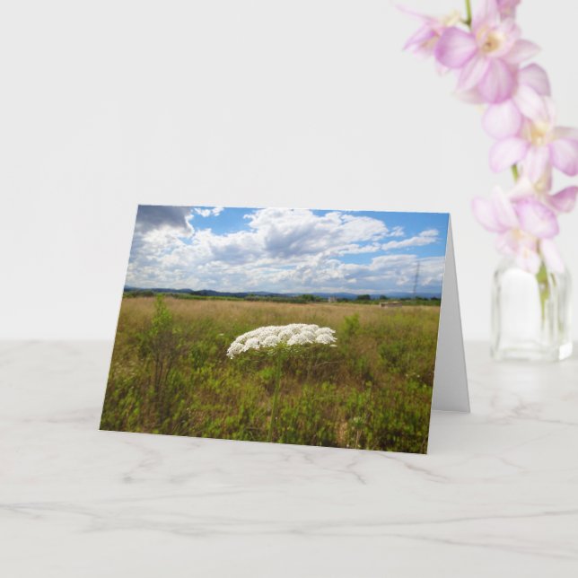 Queen Anne's Lace, Wild Floral Landscape Card (Orchid)