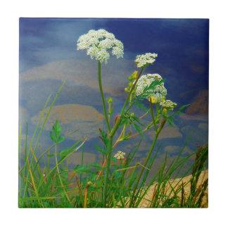 Queen Ann's lace blue lake Tile