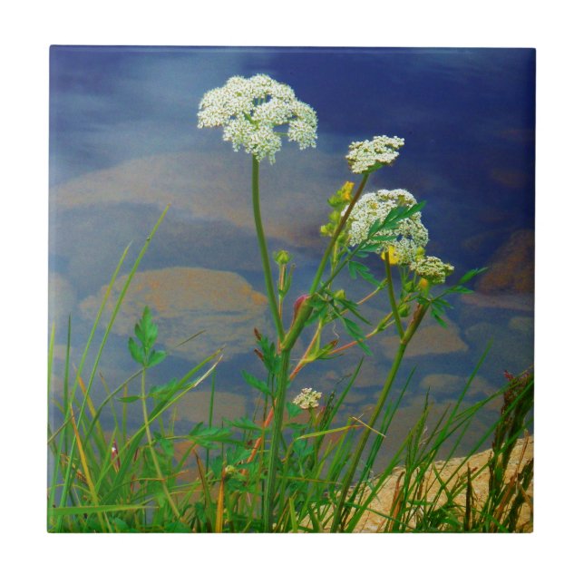 Queen Ann's lace blue lake Tile (Front)