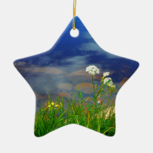 Queen Ann's lace flowers, blue mountain lake Ceramic Tree Decoration