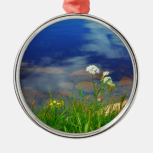 Queen Ann's lace flowers, blue mountain lake Metal Tree Decoration