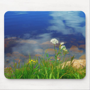 Queen Ann's lace flowers, blue mountain lake Mouse Mat