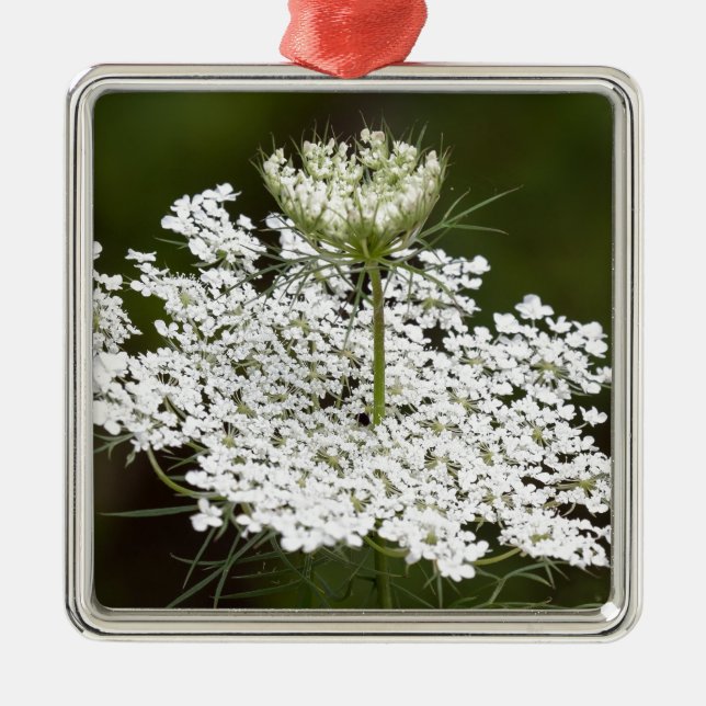 Queen Ann's Lace Metal Tree Decoration (Front)
