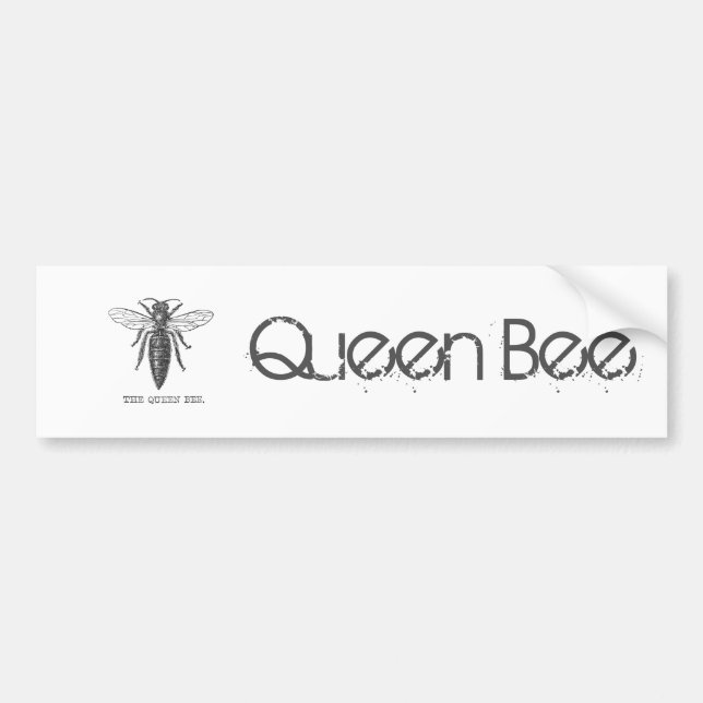 Queen Bee Bug Insect Antique Illustration Bumper Sticker (Front)