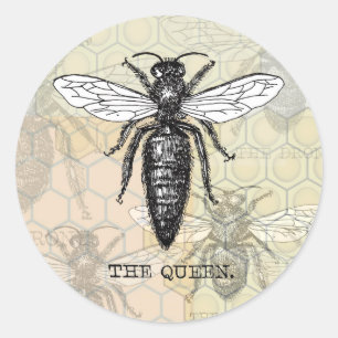 Queen Bee Bug Insect Antique Illustration Classic Round Sticker