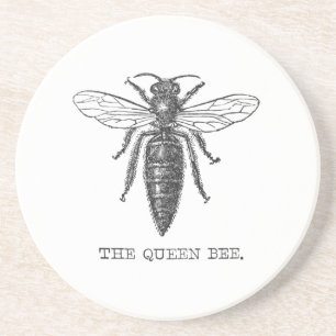 Queen Bee Bug Insect Antique Illustration Coaster