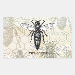 Queen Bee Bug Insect Antique Illustration Rectangular Sticker