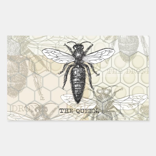Queen Bee Bug Insect Antique Illustration Rectangular Sticker (Front)