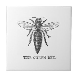 Queen Bee Bug Insect Antique Illustration Tile