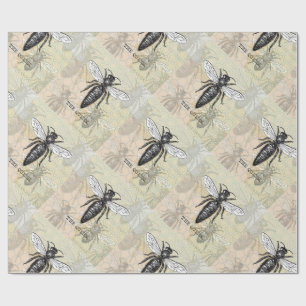 Queen Bee Bug Insect Antique Illustration Wrapping Paper