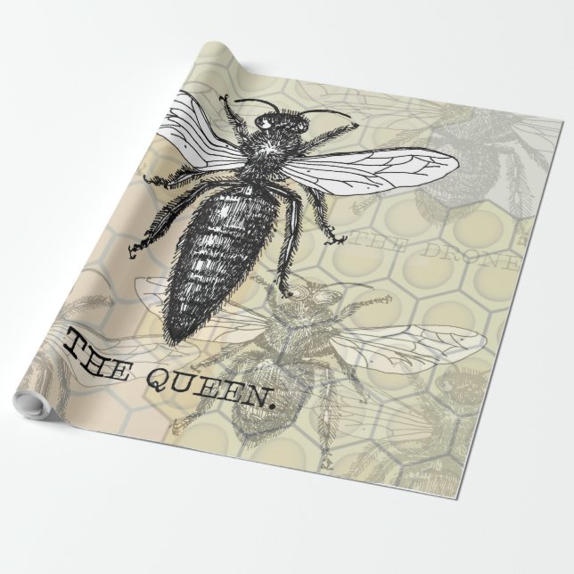 Queen Bee Bug Insect Antique Illustration Wrapping Paper (Unrolled)