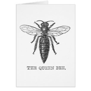 Queen Bee Bug Insect Bees Illustration