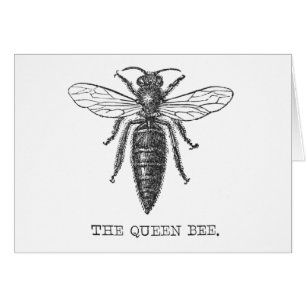 Queen Bee Bug Insect Bees Illustration