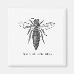Queen Bee Bug Insect Bees Illustration Magnet