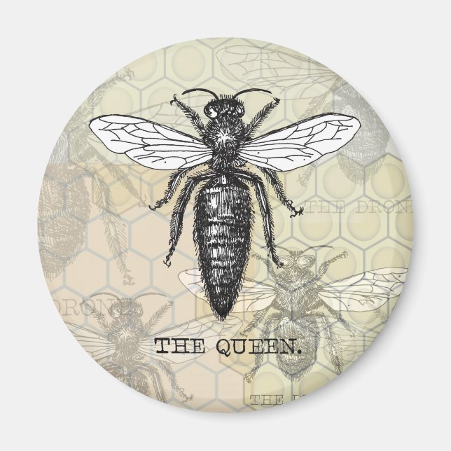 Queen Bee Illustration Bug Insect Magnet (Front)