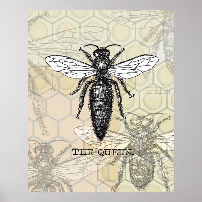 Queen Bee Illustration Bug Insect Poster (Front)