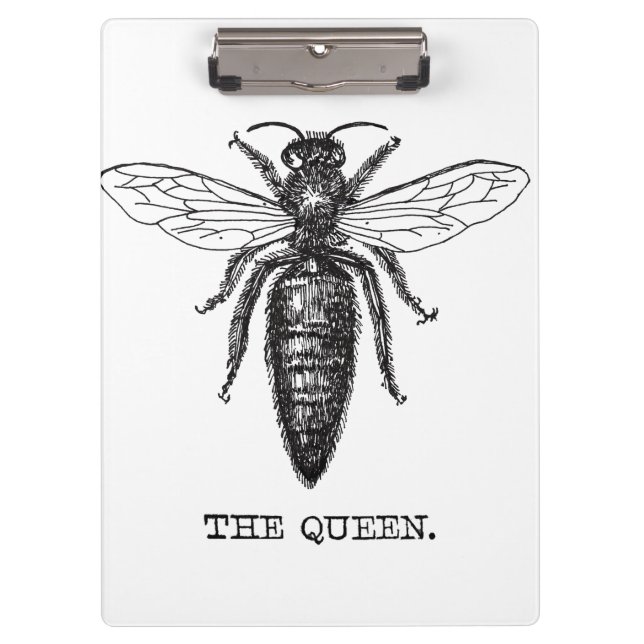 Queen Bee Illustration Classic Drawing Clipboard (Front)