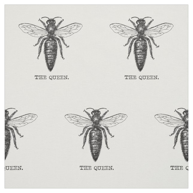 Queen Bee Illustration Classic Drawing Fabric (Swatch)
