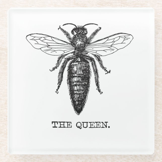 Queen Bee Illustration Classic Drawing Glass Coaster (Front)