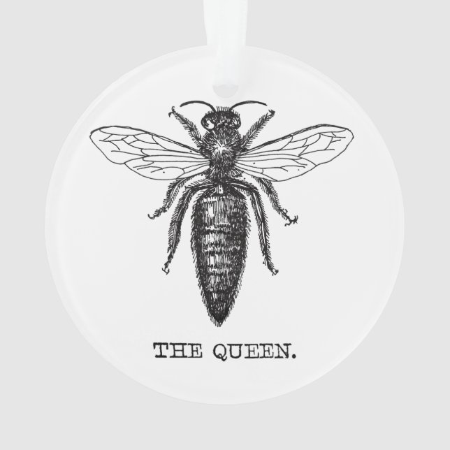 Queen Bee Illustration Classic Drawing Ornament (Back)