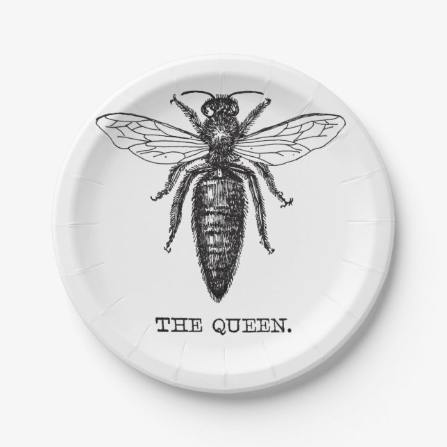 Queen Bee Illustration Classic Drawing Paper Plate (Front)