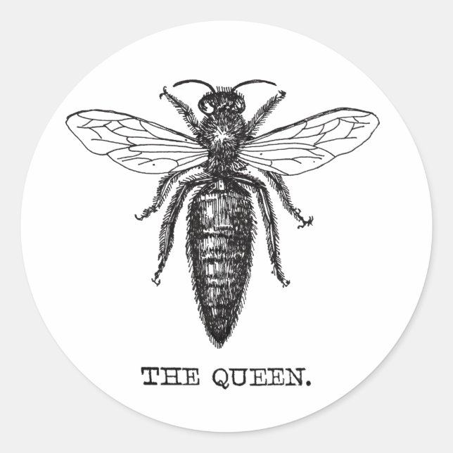 Queen Bee Illustration Classic Drawing Round Sticker (Front)