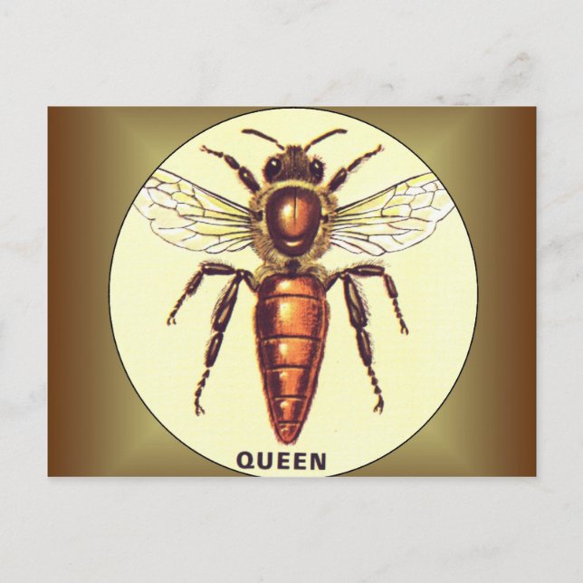 Queen Bee Postcard (Front)