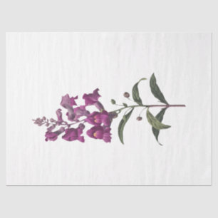 Queen Bee Series Design 65 Tissue Paper